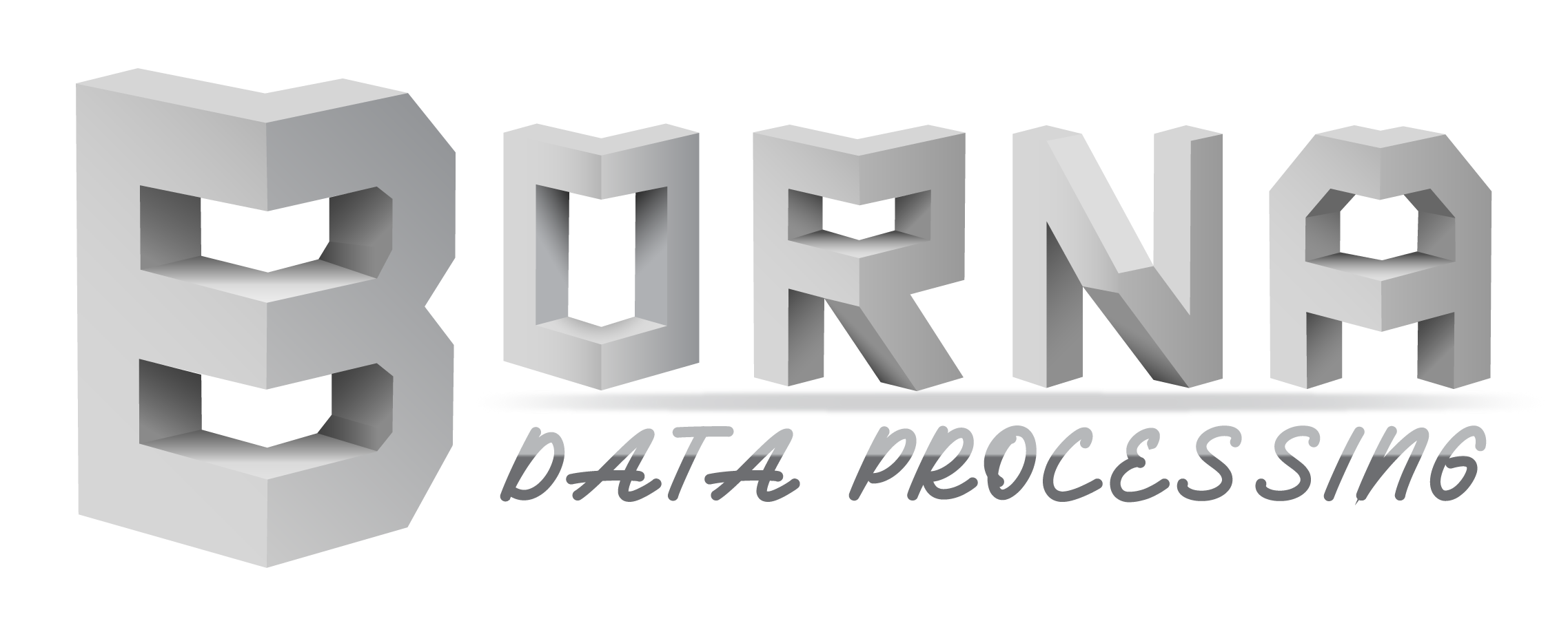 borna data processing